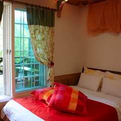 Отель Pyeongchang Four Seasons House (Swiss Chalet Pension) Южная Корея, Пхёнчан - отзывы, цены и фото номеров - забронировать отель Pyeongchang Four Seasons House (Swiss Chalet Pension) онлайн фото 11
