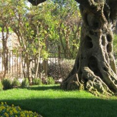 Отель Giardino Dei Principi Италия, Ситта-Сант-Анджело - отзывы, цены и фото номеров - забронировать отель Giardino Dei Principi онлайн