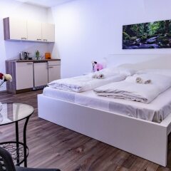 Отель My City Apartments - Prime Location Австрия, Вена - отзывы, цены и фото номеров - забронировать отель My City Apartments - Prime Location онлайн комната для гостей фото 4