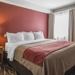 Отель Comfort Inn Oshawa Канада, Ошава - отзывы, цены и фото номеров - забронировать отель Comfort Inn Oshawa онлайн комната для гостей фото 5