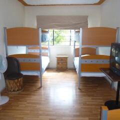 Отель Hostel Bedsntravel Мексика, Гвадалахара - отзывы, цены и фото номеров - забронировать отель Hostel Bedsntravel онлайн комната для гостей фото 5