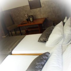 Guesthouse Vila Olivera in Niska Banja, Serbia from 102$, photos, reviews - zenhotels.com room amenities