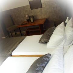 Guesthouse Vila Olivera in Niska Banja, Serbia from 24$, photos, reviews - zenhotels.com room amenities