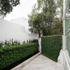 Отель Casa Rombos By Grupo Encanto Rombo II Мехико балкон