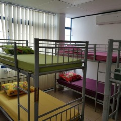 Отель Mahana Lodge Hostel & Backpacker Французская Полинезия, Папеэте - отзывы, цены и фото номеров - забронировать отель Mahana Lodge Hostel & Backpacker онлайн детские мероприятия фото 2