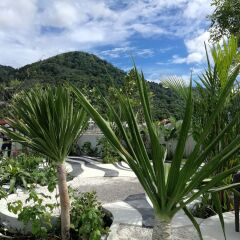 Oakwood Hotel Journeyhub Phuket Патонг фото 11