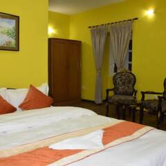 Отель Yellow Durbar Apartment and Lounge Непал, Лалитпур - отзывы, цены и фото номеров - забронировать отель Yellow Durbar Apartment and Lounge онлайн комната для гостей фото 4
