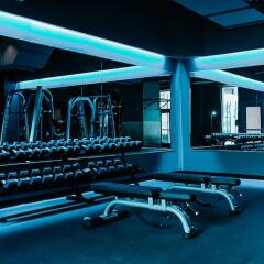 Отель Stay Alfred at 80 on the Commons фитнесс-зал фото 3