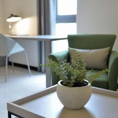 Отель Boree Hotel Южная Корея, Сеул - отзывы, цены и фото номеров - забронировать отель Boree Hotel онлайн комната для гостей фото 2