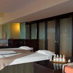 Отель Royal Orchid Sheraton Hotel & Towers Таиланд, Бангкок - 1 отзыв об отеле, цены и фото номеров - забронировать отель Royal Orchid Sheraton Hotel & Towers онлайн балкон