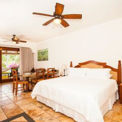 Cabo Surf Hotel & Spa комната для гостей фото 4
