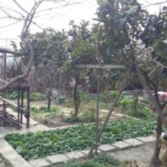 Housheng Youth Hostel фото 4