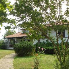 Отель B&b Come A Casa Черрионе фото 5