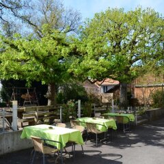 Отель Gasthaus zum Löwen фото 2