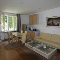 Апартаменты Apartment Gassergasse в номере фото 2