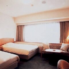 Kobe Luminous Hotel in Kobe, Japan from 121$, photos, reviews - zenhotels.com guestroom photo 4