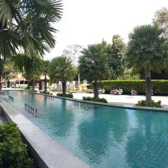 Отель Long Beach Garden Таиланд, Паттайя - отзывы, цены и фото номеров - забронировать отель Long Beach Garden онлайн бассейн