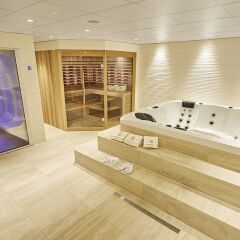 Отель Ammonite Hotel Amsterdam Нидерланды, Амстелвен - отзывы, цены и фото номеров - забронировать отель Ammonite Hotel Amsterdam онлайн сауна