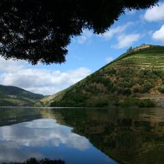 Отель Six Senses Douro Valley Португалия, Ламего - отзывы, цены и фото номеров - забронировать отель Six Senses Douro Valley онлайн приотельная территория