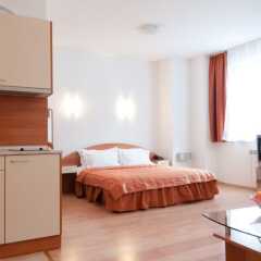 Отель Apart Hotel Flora Residence Болгария, Боровец - отзывы, цены и фото номеров - забронировать отель Apart Hotel Flora Residence онлайн комната для гостей фото 4