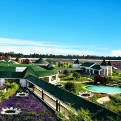 Отель Blues Manor Китай, Пекин - отзывы, цены и фото номеров - забронировать отель Blues Manor онлайн балкон
