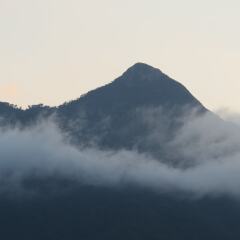Отель Cottage Orange House Yakushima Якусима приотельная территория