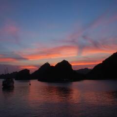 Отель Halong Dragon Cruise фото 2