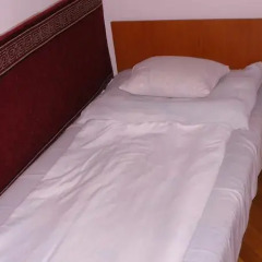 Hostel & Hotel Makrovilag Feher Pava Будапешт комната для гостей фото 5