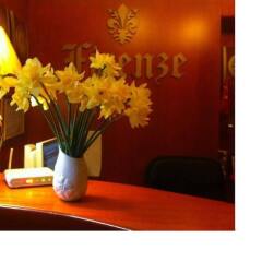 Hotel Firenze Tirana в номере фото 2