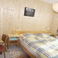 Отель Chesa Albris Bed and Breakfast Швейцария, Санкт-Мориц - отзывы, цены и фото номеров - забронировать отель Chesa Albris Bed and Breakfast онлайн детские мероприятия фото 2