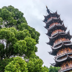 Отель Guangzhou Lanyuege Apartment Beijing Road Китай, Гуанчжоу - отзывы, цены и фото номеров - забронировать отель Guangzhou Lanyuege Apartment Beijing Road онлайн фото 12