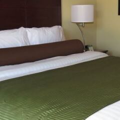 Отель Cobblestone Inn & Suites -- Hartington, Ne Хартингтон сейф в номере