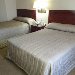 Hotel San Luis Lindavista комната для гостей