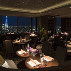 Отель Asakusa View Hotel Япония, Токио - отзывы, цены и фото номеров - забронировать отель Asakusa View Hotel онлайн фото 14