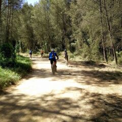 Hotel Sant Jordi