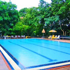 Отель Pattaya Garden бассейн фото 2