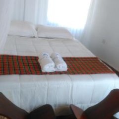 Lago Resort in Kisumu, Kenya from 61$, photos, reviews - zenhotels.com room amenities photo 2