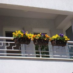 Apartments Nela in Ohrid, Macedonia from 53$, photos, reviews - zenhotels.com photo 3