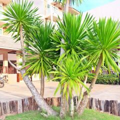 Отель Ananda Lanta Resort Ланта фото 4
