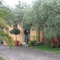 Отель Villa Baiera фото 5