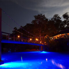 GoldenEye Hotel & Resort с домашними животными