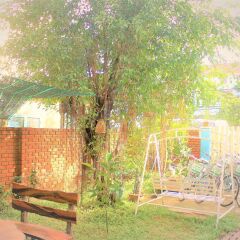 Отель Green Bud Homestay спа