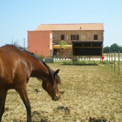 Отель Conero Ranch Порто Реканати с домашними животными