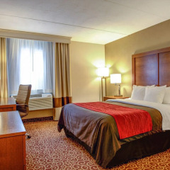 Comfort Inn in Bangor, United States of America from 195$, photos, reviews - zenhotels.com guestroom photo 3