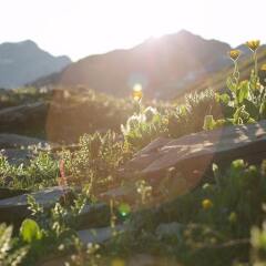 Отель Berghaus Jochpass фото 7
