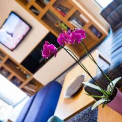Отель Hilton Garden Inn Istanbul Golden Horn удобства в номере фото 2