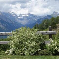 Отель Chalet Grand Loup Нендаз фото 3