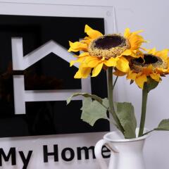 My Home Garden Турция, Стамбул - отзывы, цены и фото номеров - забронировать отель My Home Garden онлайн в номере