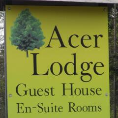 Отель Acer Lodge Guest House Эдинбург парковка