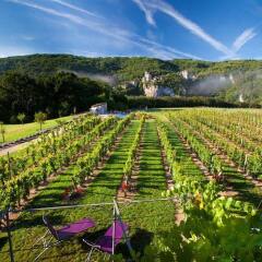 Hotel-Spa Le Saint Cirq детские мероприятия фото 2